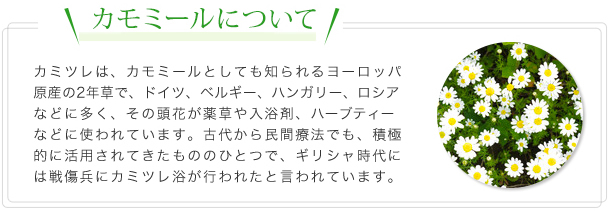 カモミールについて：カミツレは、カモミールとしても知られるヨーロッパ原産の2年草で、ドイツ、ベルギー、ハンガリー、ロシアなどに多く、その頭花が薬草や入浴剤、ハーブティーなどに使われています。古代から民間療法でも、積極的に活用されてきたもののひとつで、ギリシャ時代には戦傷兵にカミツレ浴が行われたと言われています。