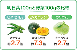 明日葉100gと野菜100gの比較　ビタミンB2 オクラの約2.7倍　βカロテン かぼちゃの約7.3倍　カリウム キャベツの約2.7倍