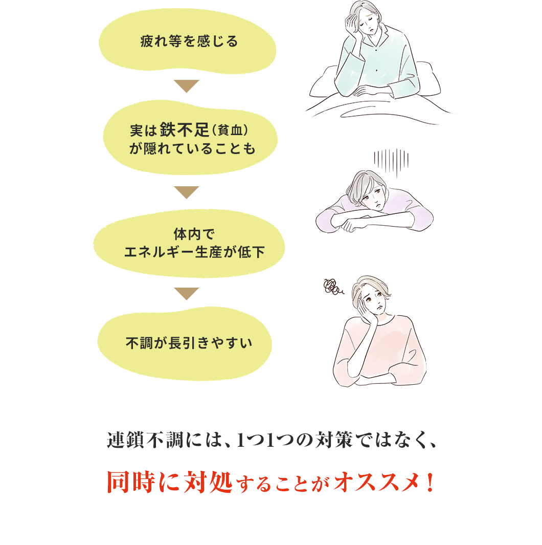 疲れ等を感じる。実は鉄不足(貧血)が隠れていることも。体内でエネルギー生産が低下。不調が長引きやすい。連鎖不調には、1つ1つの対策ではなく、同時に対処することがオススメ!