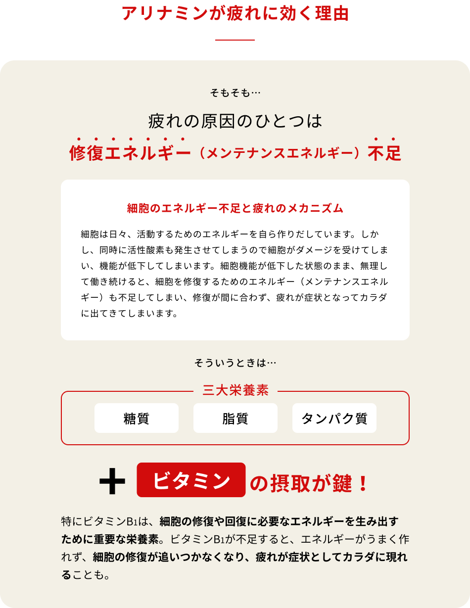 アリナミンが疲れに効く理由　そもそも…疲れの原因のひとつは修復エネルギー（メンテナンスエネルギー）不足　細胞のエネルギー不足と疲れのメカニズム（細胞は日々、活動するためのエネルギーを自ら作りだしています。しかし、同時に活性酸素も発生させてしまうので細胞がダメージを受けてしまい、機能が低下してしまいます。細胞機能が低下した状態のまま、無理して働き続けると、細胞を修復するためのエネルギー（メンテナンスエネルギー）も不足してしまい、修復が間に合わず、疲れが症状となってカラダに出てきてしまいます。）そういうときは…　三大栄養素（糖質、脂質、タンパク質）+「ビタミン」の摂取が鍵！特にビタミンB1は、細胞の修復や回復に必要なエネルギーを生み出すために重要な栄養素。ビタミンB1が不足すると、エネルギーがうまく作れず、細胞の修復が追いつかなくなり、疲れが症状としてカラダに現れることも。