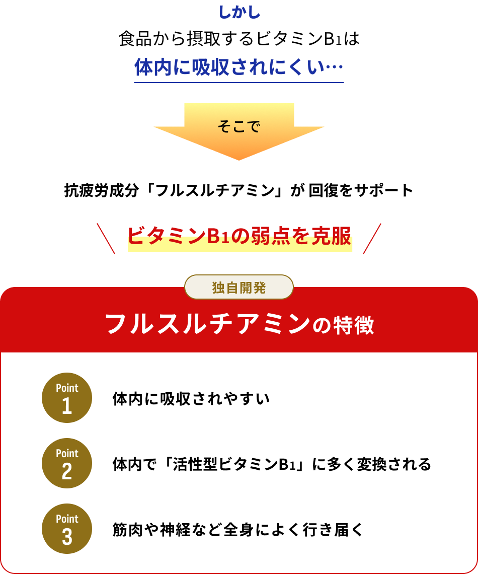 しかし、食品から摂取するビタミンB1は体内に吸収されにくい　ビタミンB1の弱点を克服　独自開発「フルスルチアミン」　01.体内に吸収されやすい　02.体内で「活性型ビタミンB1」に多く変換される　03.筋肉や神経など全身によく行き届く