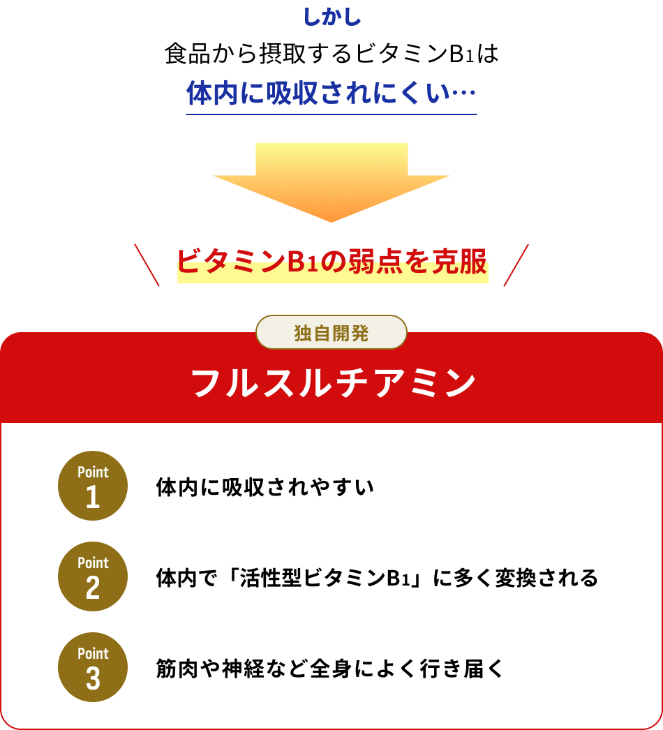 しかし、食品から摂取するビタミンB1は体内に吸収されにくい ビタミンB1の弱点を克服 独自開発「フルスルチアミン」 01.体内に吸収されやすい 02.体内で「活性型ビタミンB1」に多く変換される 03.筋肉や神経など全身によく行き届く