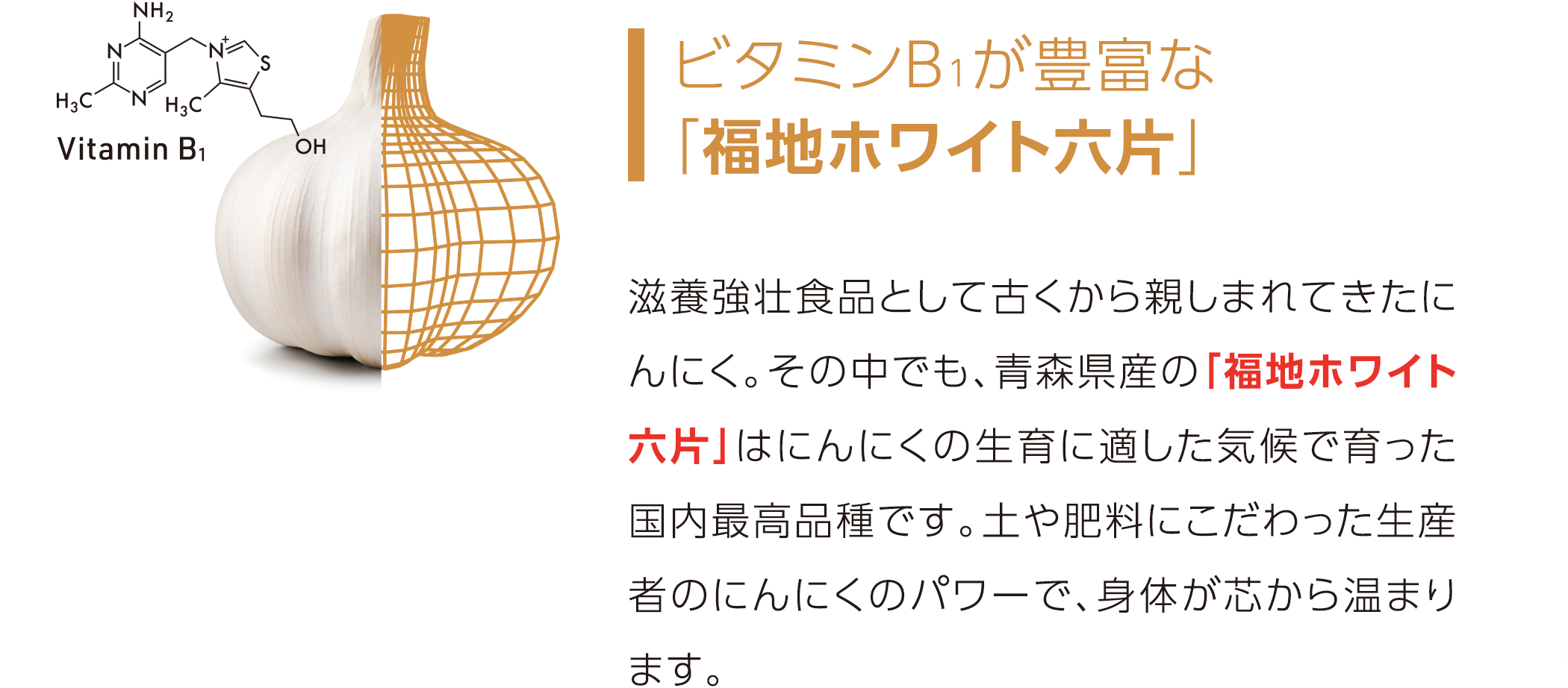 ビタミンB1が豊富な「福地ホワイト六片」