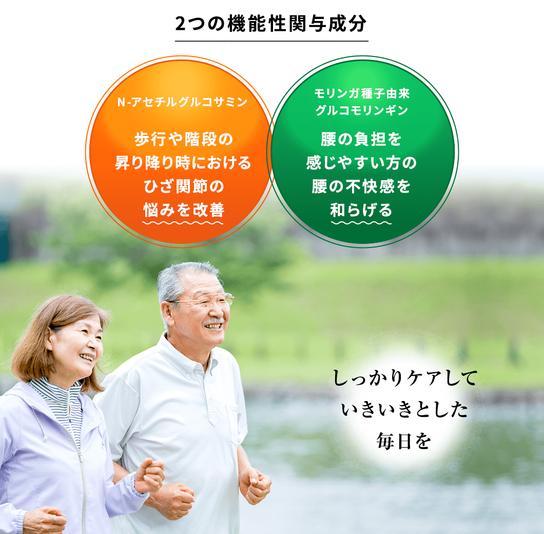 2つの機能性関与成分　[N-アセチルグルコサミン]歩行や階段の昇り降り時におけるひざ関節の悩みを改善　[モリンガ種子由来グルコモリンギン]腰の負担を感じやすい方の腰の不快感を和らげる