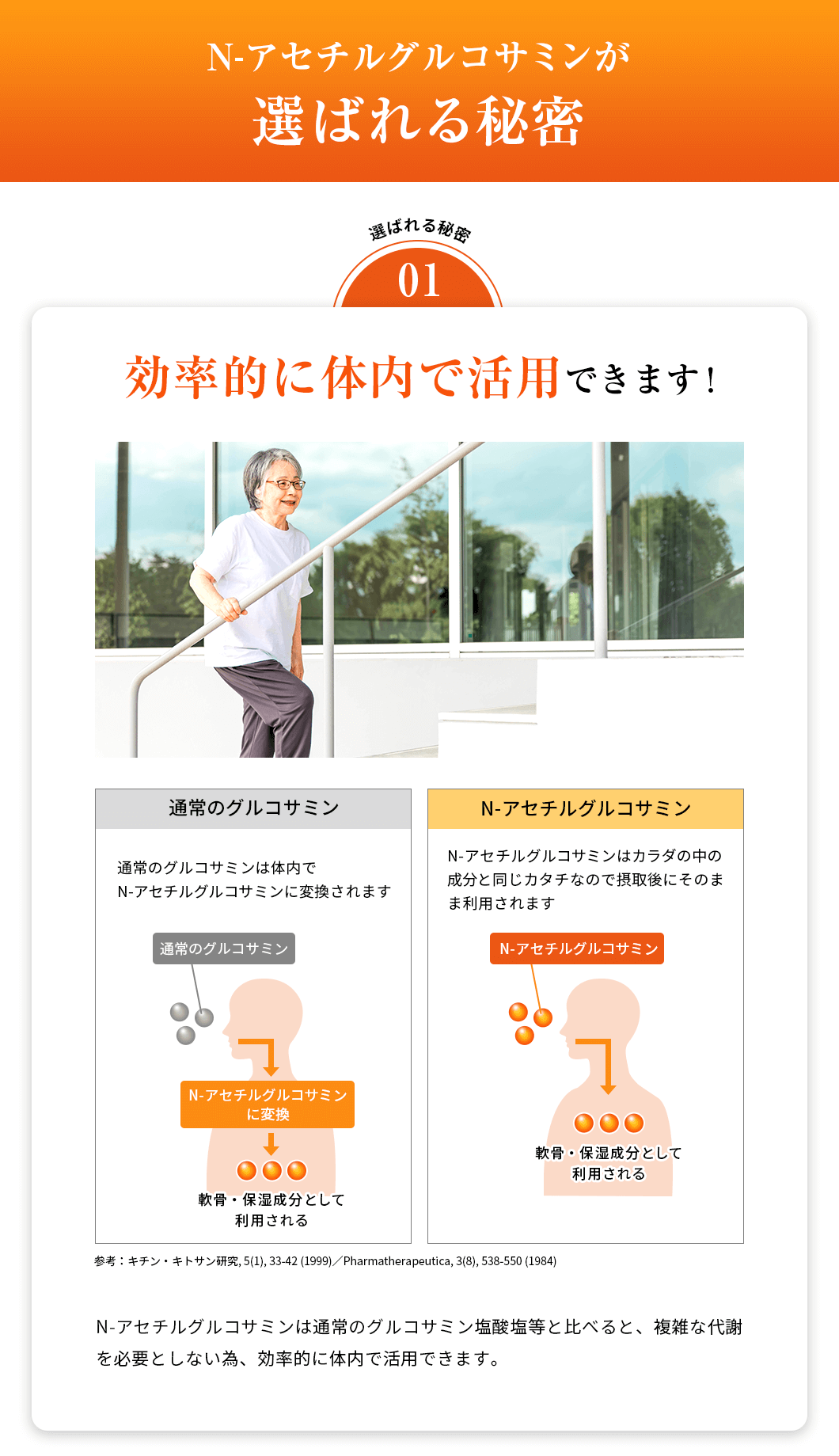 N-アセチルグルコサミンが選ばれる秘密　「選ばれる秘密01」効率的に体内で活用できます！N-アセチルグルコサミンは通常のグルコサミン塩酸塩等と比べると、複雑な代謝を必要としない為、効率的に体内で活用できます。