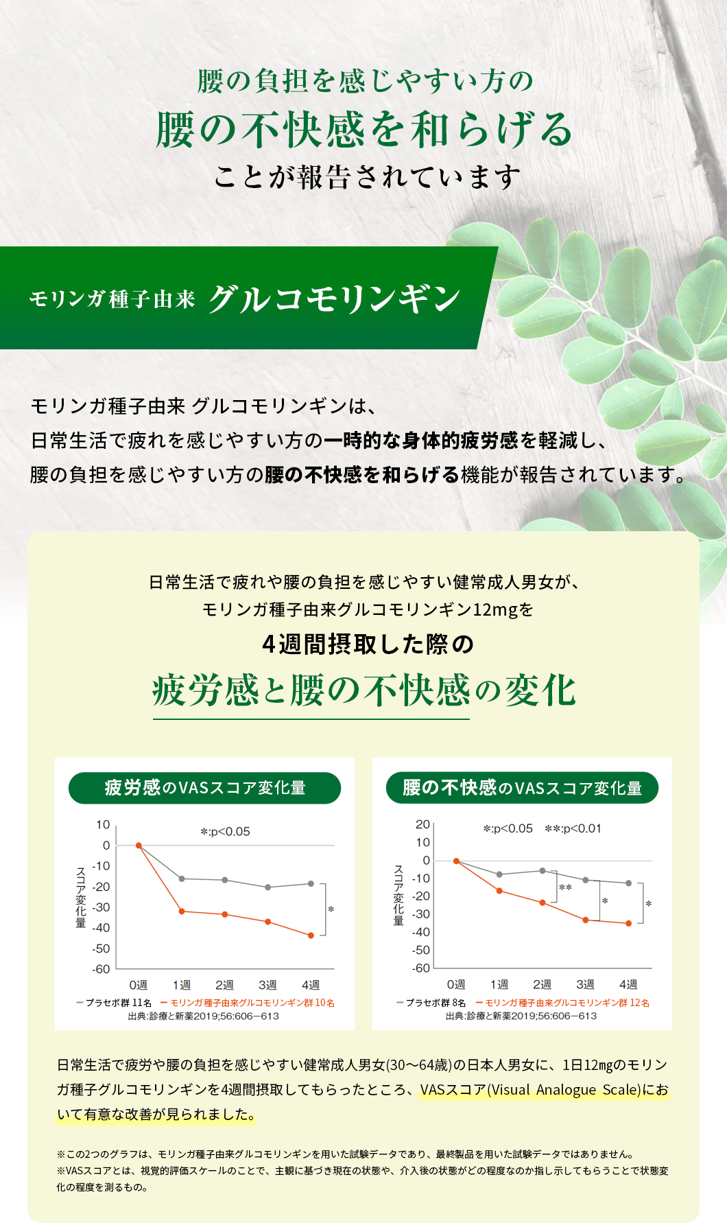 腰の負担を感じやすい方の腰の不快感を和らげることが報告されています。[モリンガ種子由来グルコモリンギン]日常生活で疲労や腰の負担を感じやすい健常成人男女(30～64歳)の日本人男女に、1日12㎎のモリンガ種子グルコモリンギンを4週間摂取してもらったところ、VASスコア(Visual  Analogue  Scale)において有意な改善が見られました。