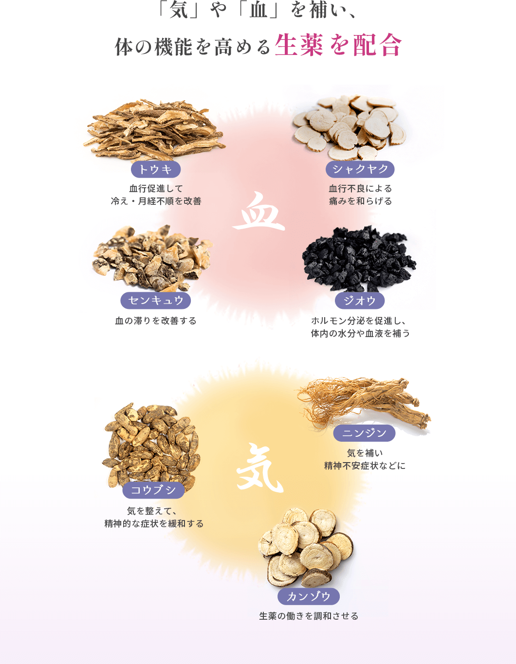 「気」や「血」を補い、体の機能を高める生薬を配合 トウキ:血行促進して冷え・月経不順を改善 シャクヤク:血行不良による痛みを和らげる センキュウ:血の滞りを改善する ジオウ:ホルモン分泌を促進し、体内の水分や血液を補う コウブシ:気を整えて、精神的な症状を緩和する ニンジン:気を補い精神不安症状などに カンゾウ:生薬の働きを調和させる