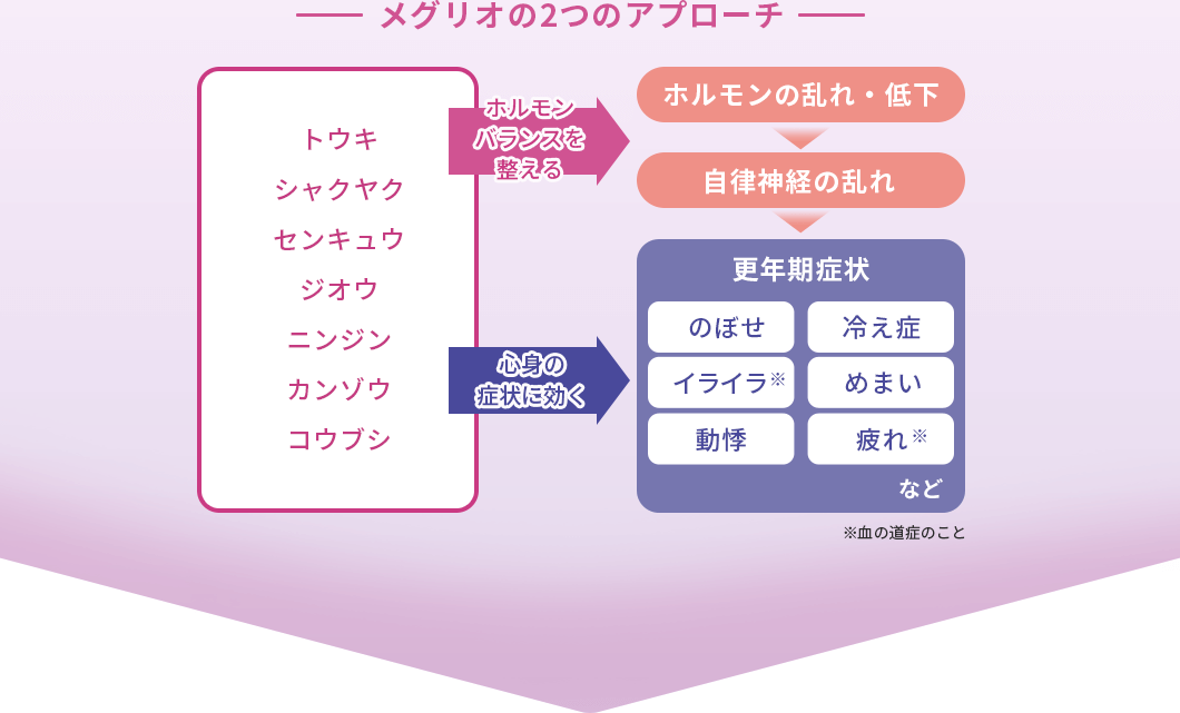 メグリオの2つのアプローチ ・ホルモンバランスを整える ・心身の症状に効く