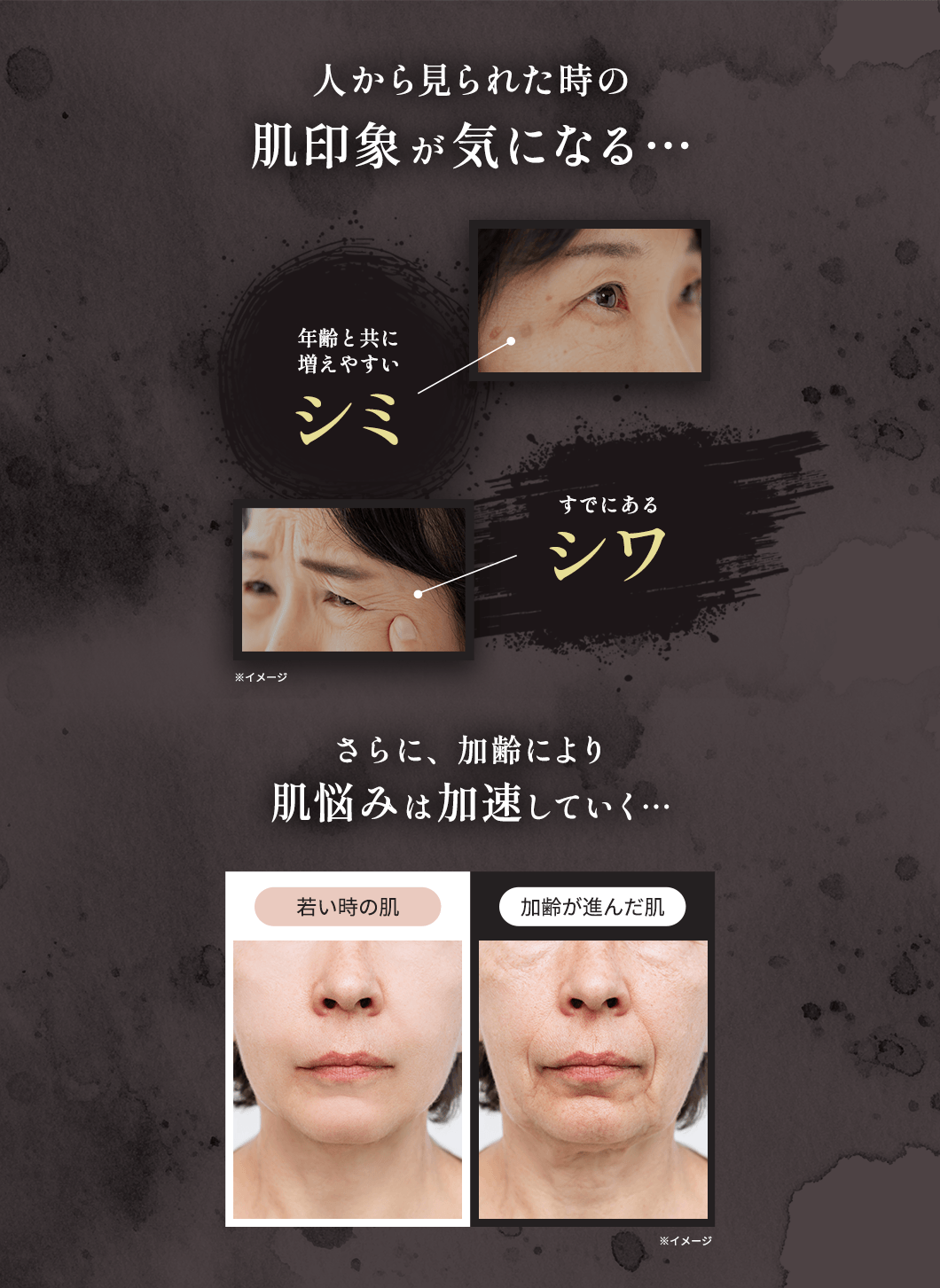 人から見られた時の肌印象が気になる…　年齢と共に増えやすいシミ　すでにあるシワ　さらに、加齢により肌悩みは加速していく…