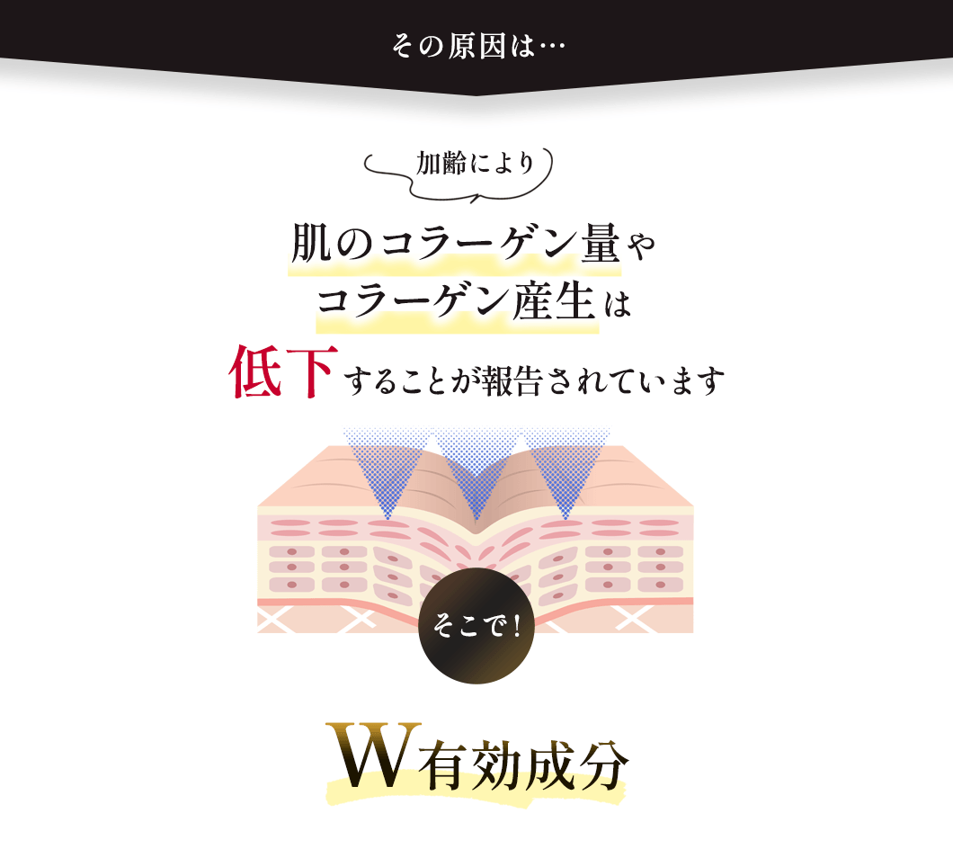 その原因は…加齢により肌のコラーゲン量やコラーゲン産生は低下することが報告されています　そこで！W有効成分