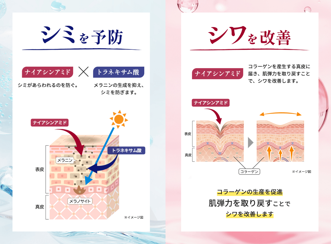 シミを予防「ナイアシンアミド」シミがあらわれるのを防ぐ。×「トラネキサム酸」メラニンの生成を抑え、シミを防ぎます。シワを改善「ナイアシンアミド」コラーゲンを産生する真皮に届き、肌弾力を取り戻すことで、シワを改善します。コラーゲンの生産を促進肌弾力を取り戻すことでシワを改善します。