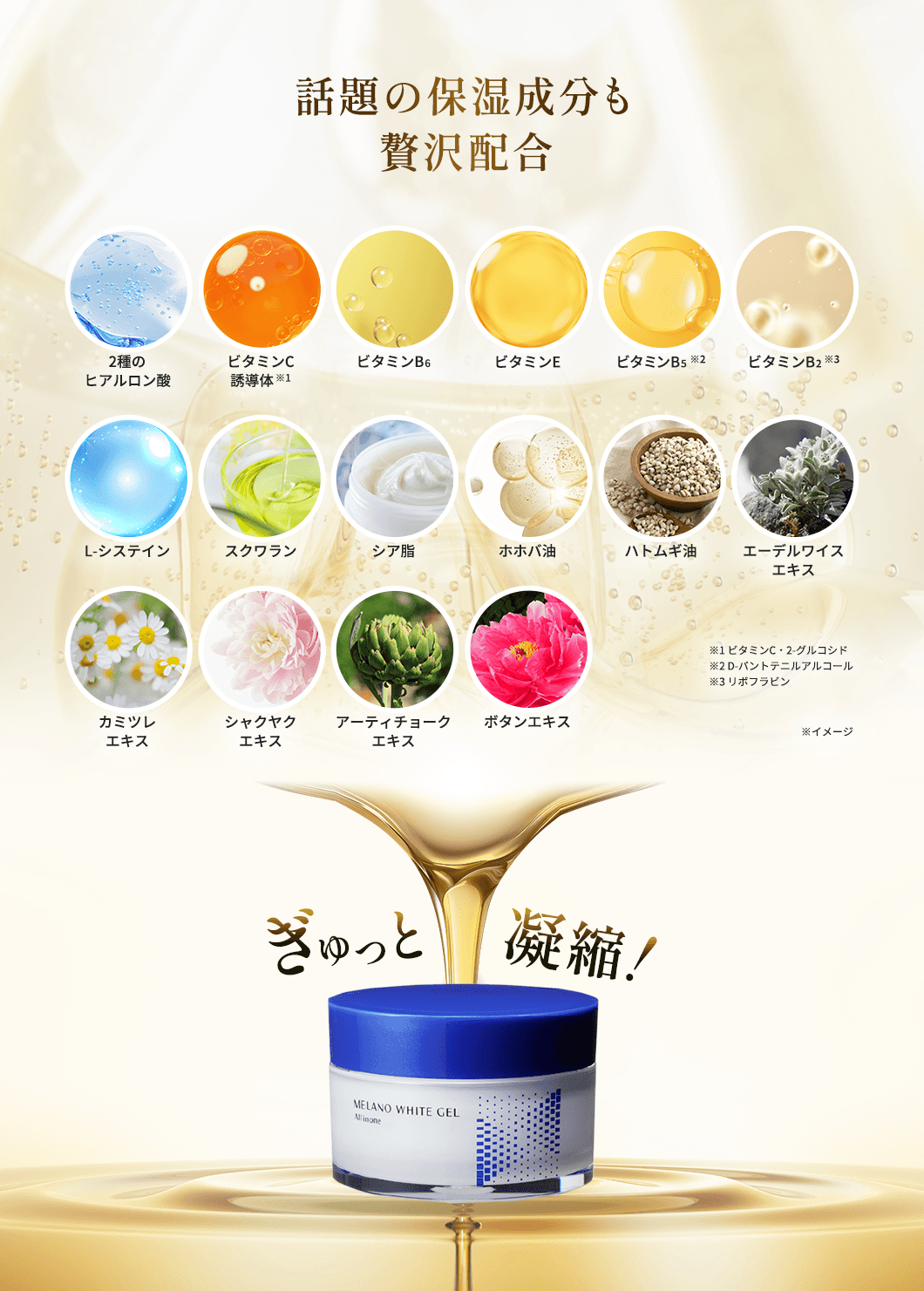 話題の保湿成分も贅沢配合　2種のヒアルロン酸、ビタミンC誘導体（※1）、ビタミンB6、ビタミンE、ビタミンB5（※2）、ビタミンB2（※3）、L-システイン、スクワラン、シア脂、ホホバ油、ハトムギ油、エーデルワイスエキス、カミツレエキス、シャクヤクエキス、アーティチョークエキス、ボタンエキス　※1 ビタミンC・2-グルコシド　※2 D-パントテニルアルコール　※3 リボフラビン　ぎゅっと凝縮！
