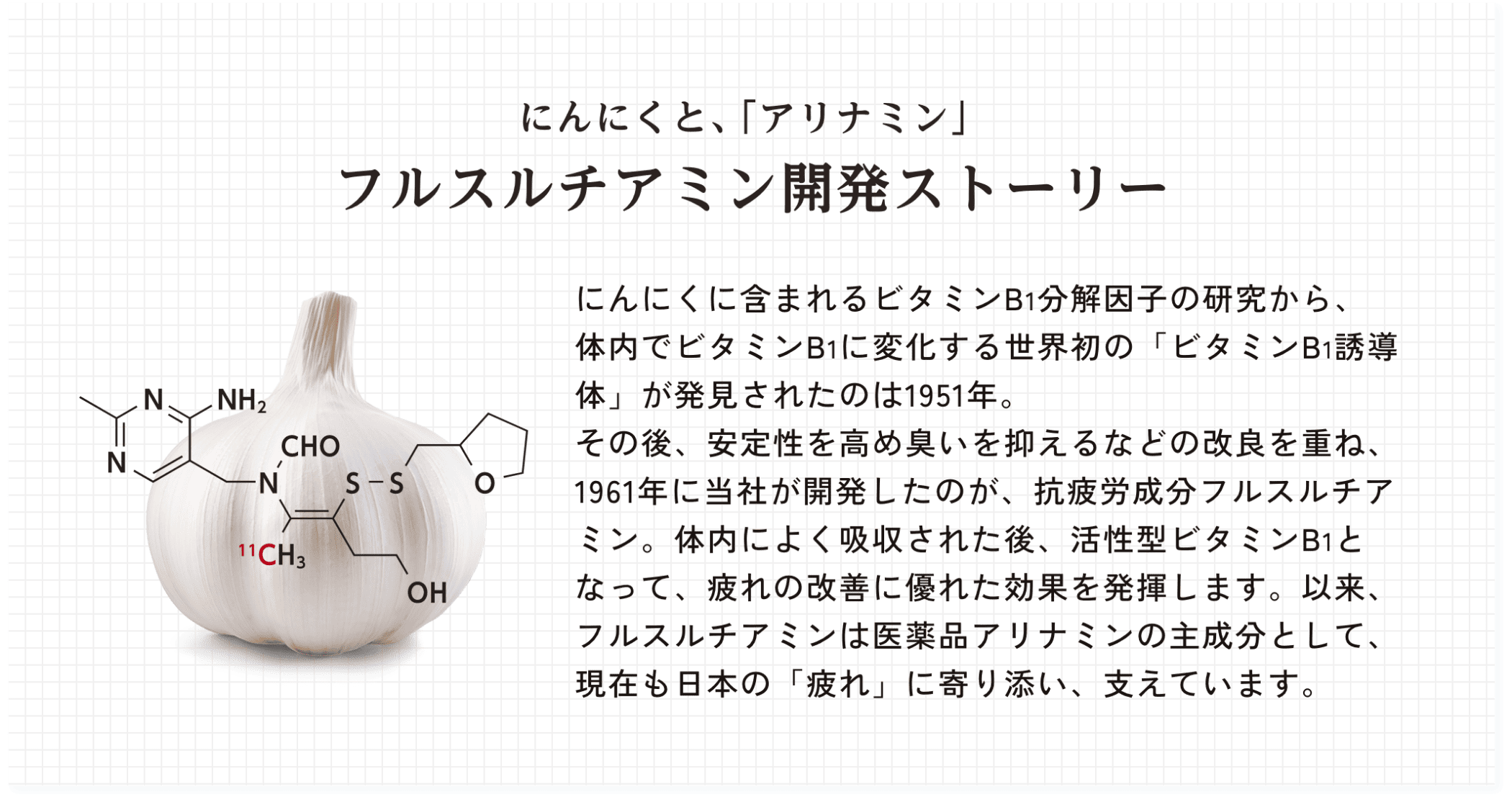 にんにくと、「アリナミン」フルスルチアミン開発ストーリー にんにくに含まれるビタミンB1分解因子の研究から、体内でビタミンB1に変化する世界初の「ビタミンB1誘導体」が発見されたのは1951年。その後、安定性を高め臭いを抑えるなどの改良を重ね、1961年に当社が開発したのが、抗疲労成分フルスルチアミン。体内によく吸収された後、活性型ビタミンB1となって、疲れの改善に優れた効果を発揮します。以来、フルスルチアミンは医薬品アリナミンの主成分として、現在も日本の「疲れ」に寄り添い、支えています。