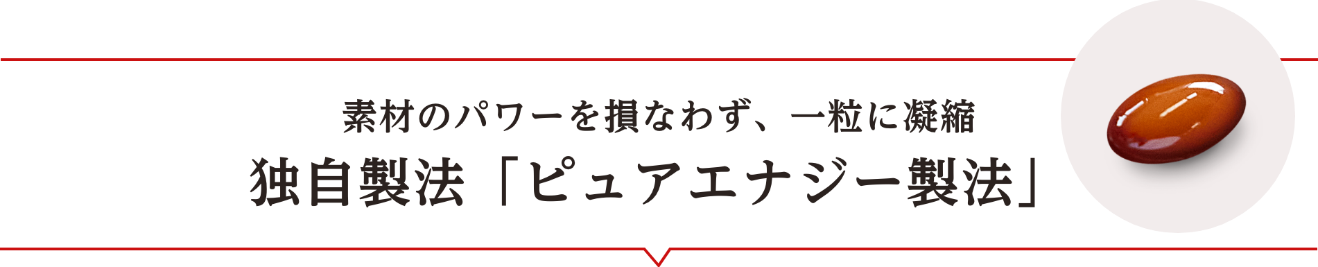 素材のパワーを損なわず、一粒に凝縮 独自製法「ピュアエナジー製法」