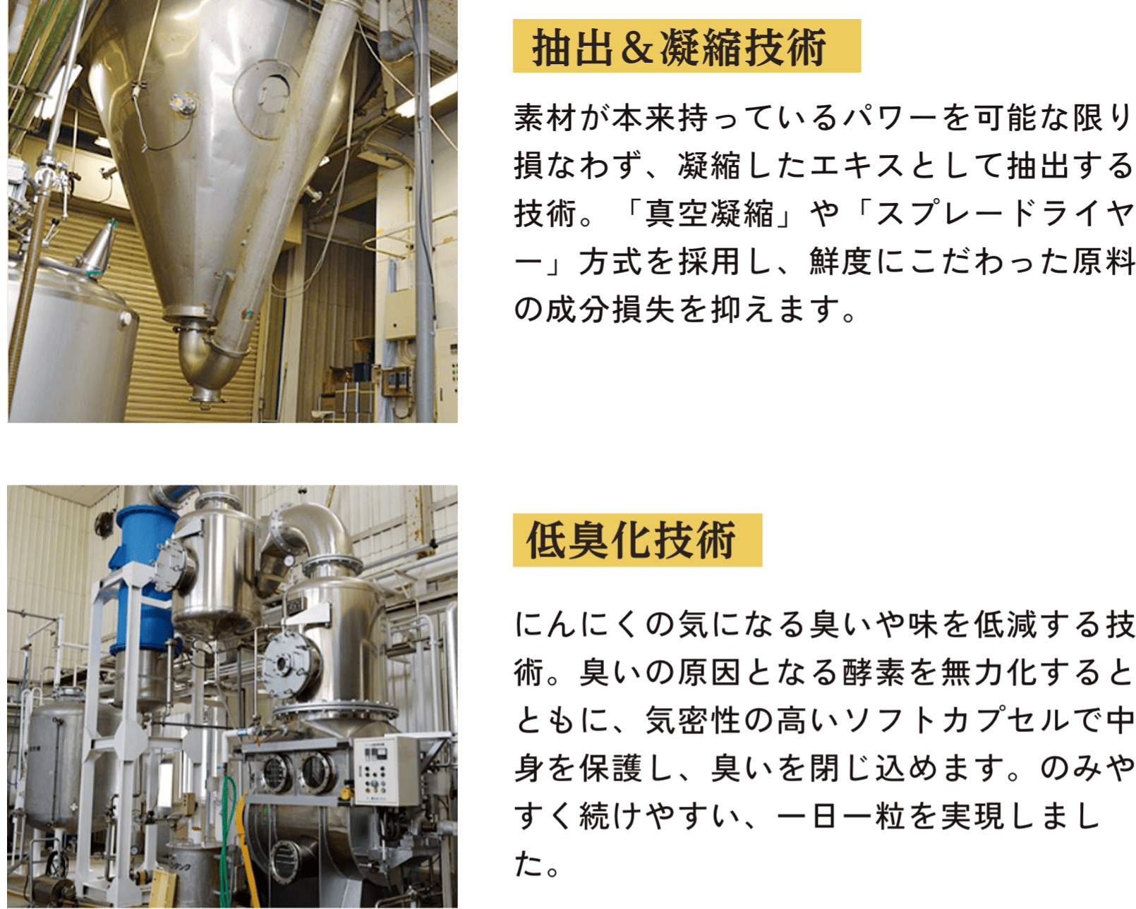 抽出&凝縮技術 素材が本来持っているパワーを可能な限り損なわず、凝縮したエキスとして抽出する技術。「真空凝縮」や「スプレードライヤー」方式を採用し、鮮度にこだわった原料の成分損失を抑えます。低臭化技術  にんにくの気になる臭いや味を低減する技術。臭いの原因となる酵素を無力化するとともに、気密性の高いソフトカプセルで中身を保護し、臭いを閉じ込めます。のみやすく続けやすい、一日一粒を実現しました。