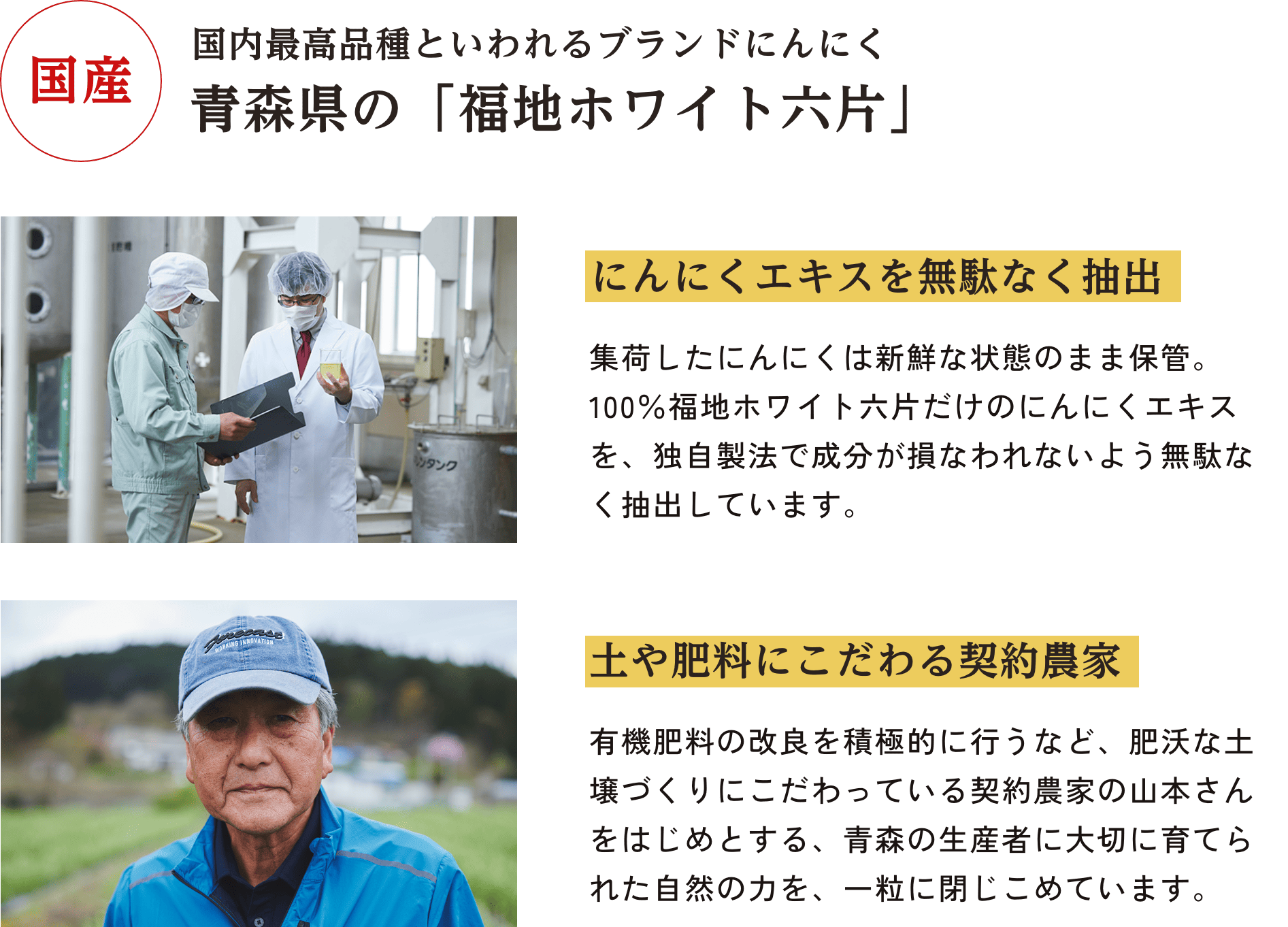 国産 国内最高品種といわれるブランドにんにく 青森県の「福地ホワイト六片」にんにくエキスを無駄なく抽出集荷したにんにくは新鮮な状態のまま保管。100％福地ホワイト六片だけのにんにくエキスを、独自製法で成分が損なわれないよう無駄なく抽出しています。土や肥料にこだわる契約農家有機肥料の改良を積極的に行うなど、肥沃な土壌づくりにこだわっている契約農家の山本さんをはじめとする、青森の生産者に大切に育てられた自然の力を、 一粒に閉じこめています。