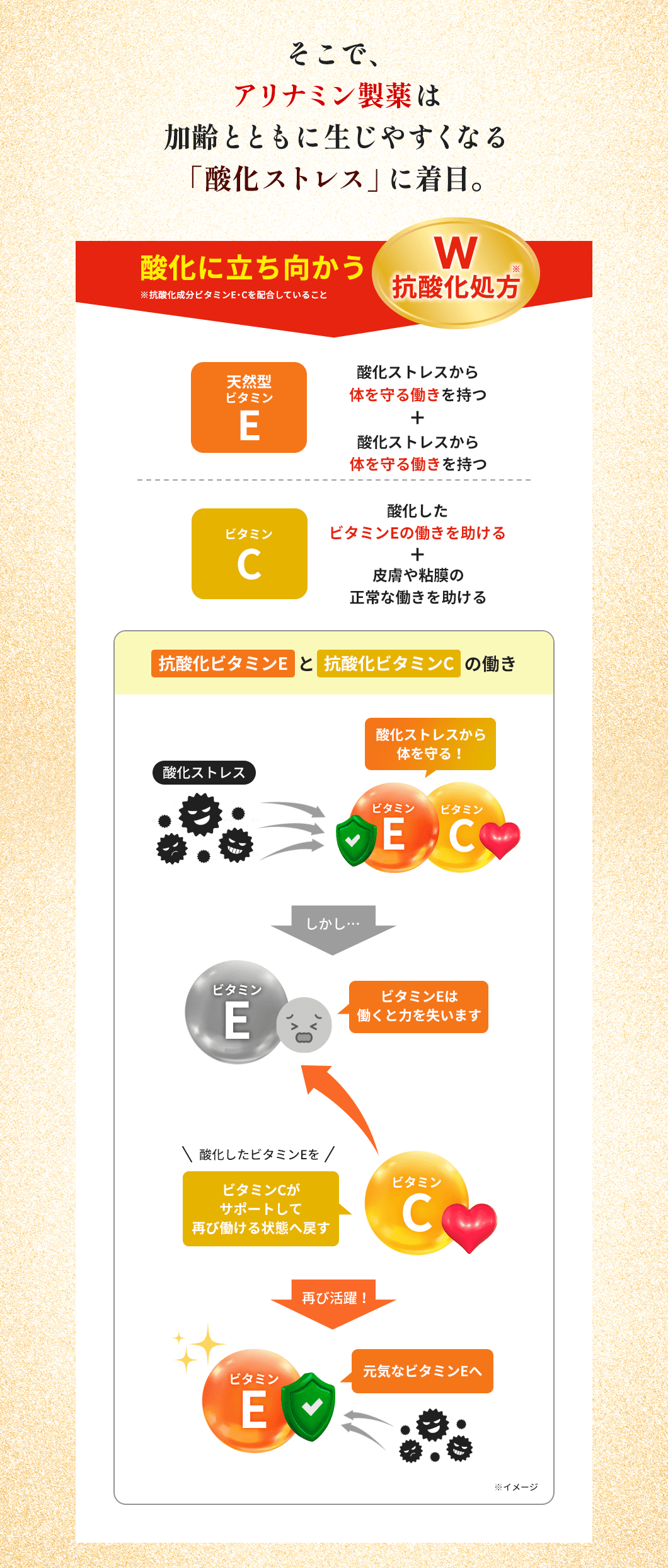 そこで、アリナミン製薬は加齢とともに生じやすくなる「酸化ストレス」に着目。酸化に立ち向かう「W抗酸化処方」　天然型ビタミンE（酸化ストレスから体を守る働きを持つ+酸化ストレスから体を守る働きを持つ）ビタミンC（酸化ストレスから体を守る働きを持つ+皮膚や粘膜の正常な働きを助ける）