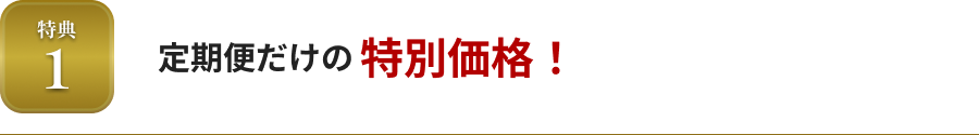 特典1 定期便だけの特別価格！